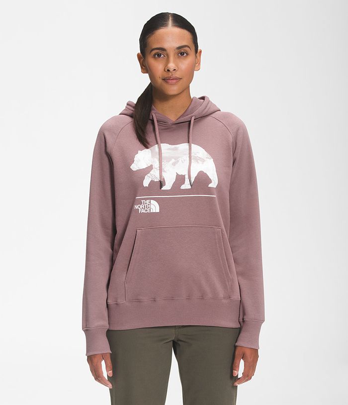 Sudadera Con Capucha The North Face Mujer Bearscape 2.0 Pullover - Colombia ICJTDW508 - Moradas Claro